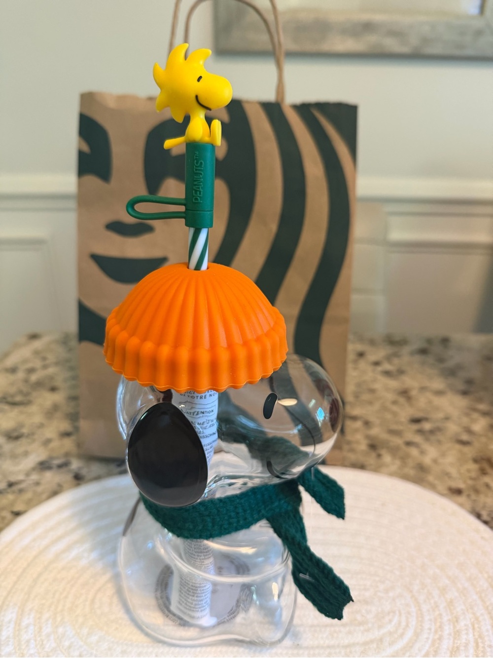 Authentic Starbucks Snoopy Orange Lid Glass Tumbler and Green Scarf - Picture 4 of 7